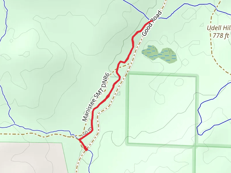 Big M - Cheat Stick Trail