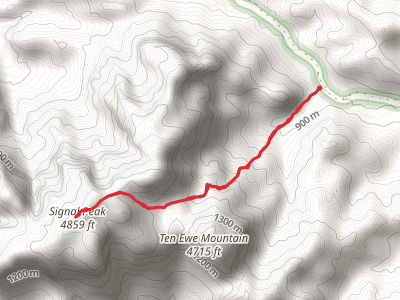 Signal Peak Trail