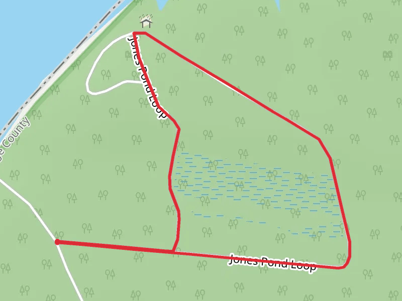 Jones Pond Loop