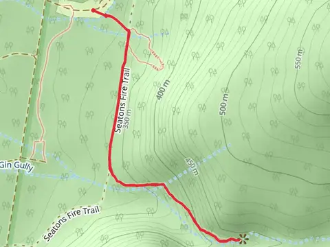 Bertha's Gully Track