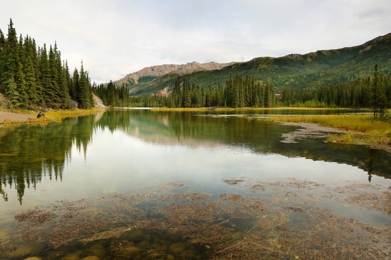 An image depicting the trail Horseshoe Lake Trail and its surrounding area.