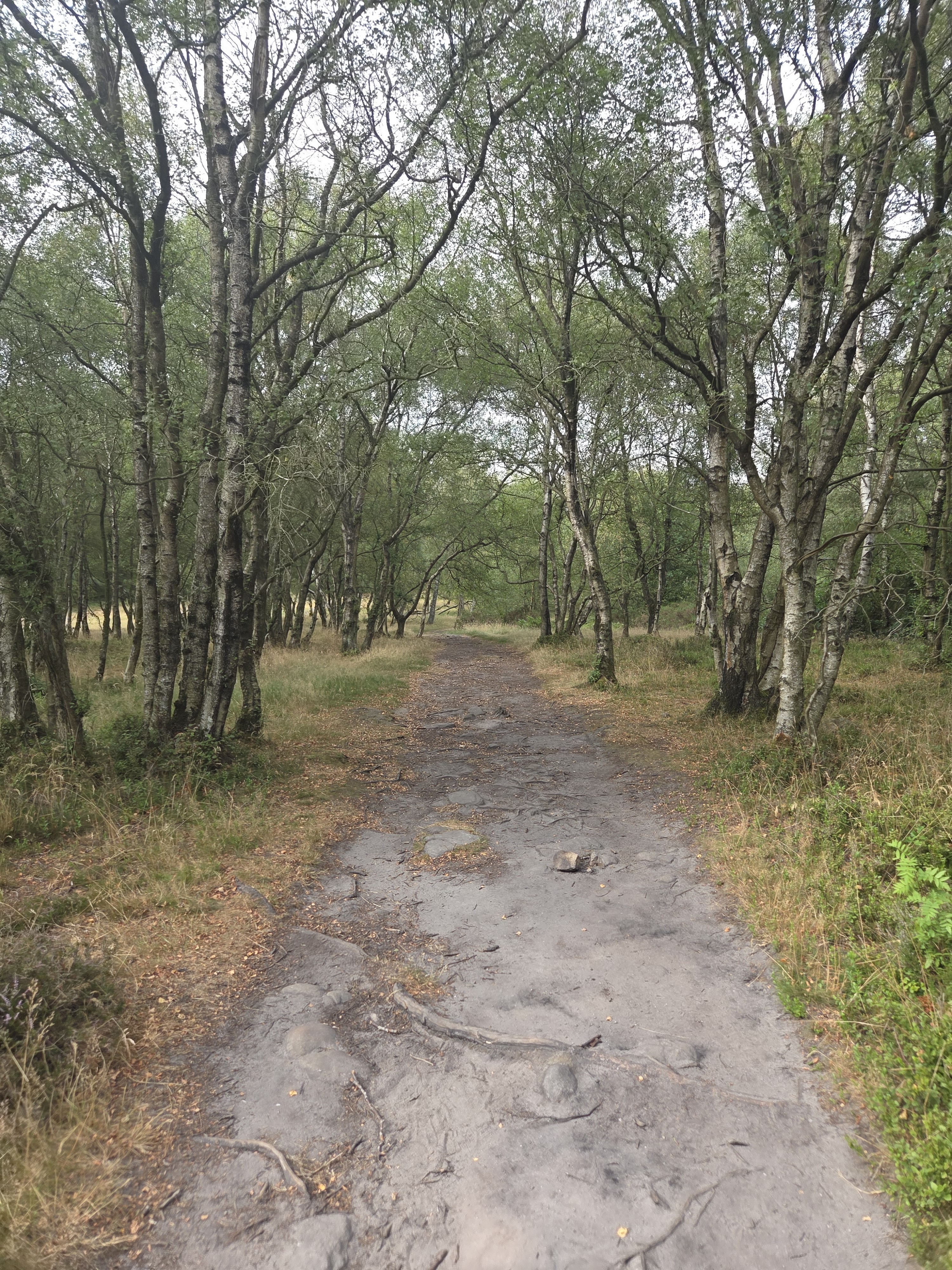 A map preview of the recording Hike on Stanton in Peak.