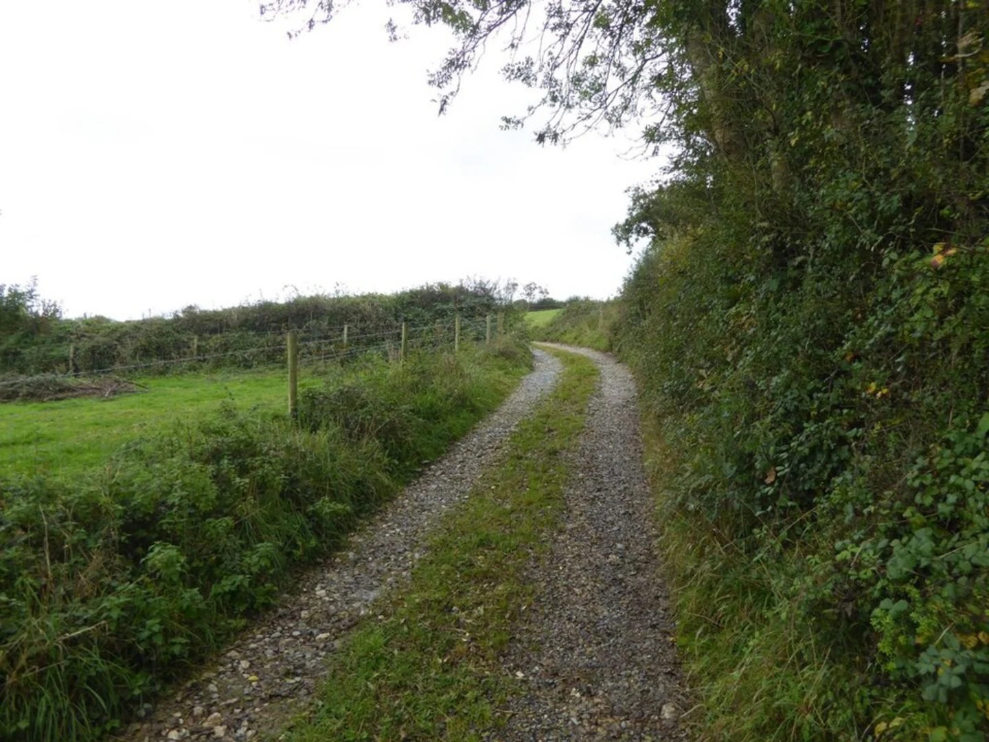 An image depicting the trail Bere Peninsula Circular and its surrounding area.