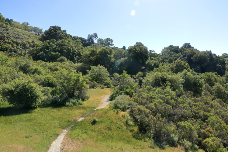 Indian Joe Creek Trail and Cave Rocks Road Loop