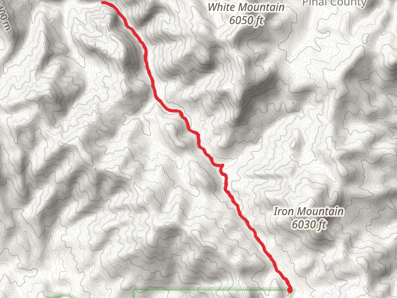 Rogers Creek via Reavis Ranch Trail
