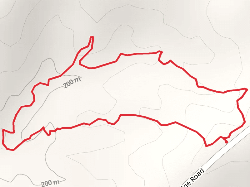 Porter Ridge Road Loop