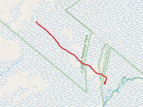 Culgoa Connellys Track