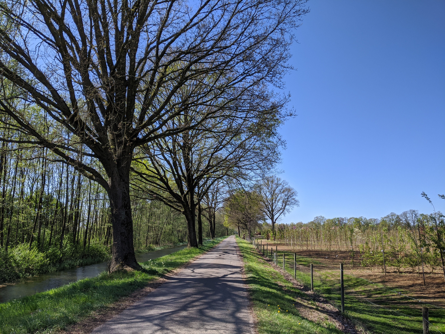 An image depicting the trail Varsel Route and its surrounding area.