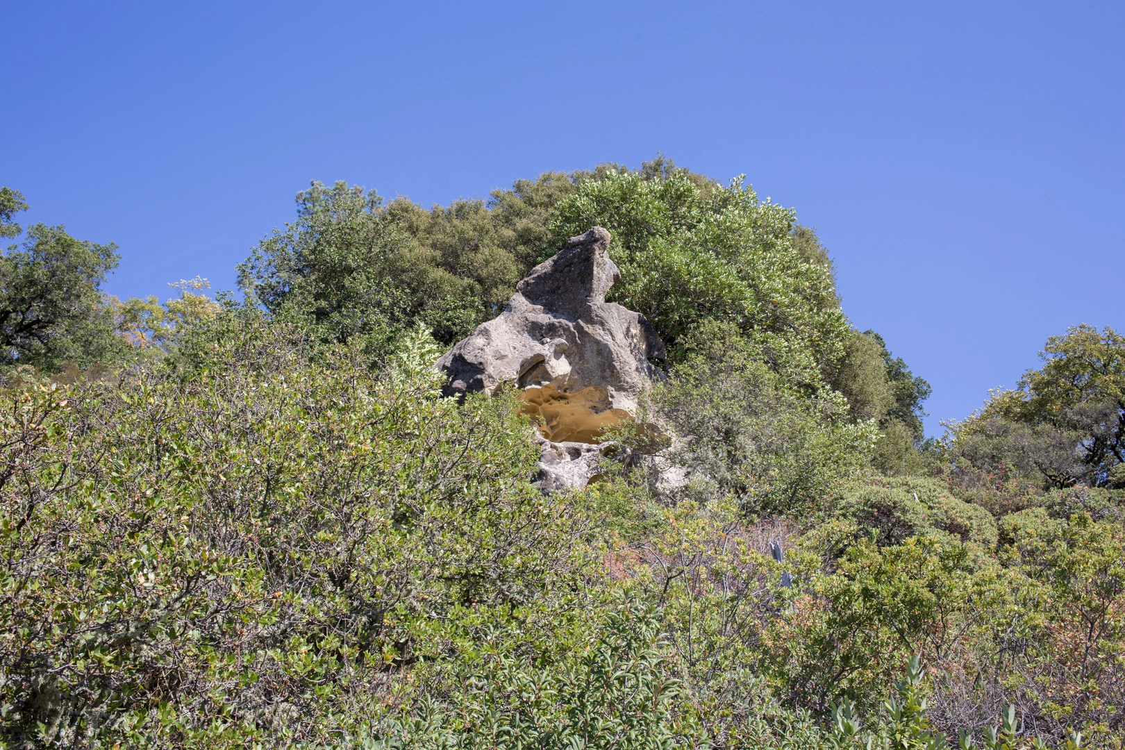 An image depicting the trail Saratoga Gap and Achistaca Loop Trail and its surrounding area.