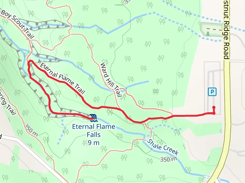 Shale Creek via Eternal Flame Trail Out and Back