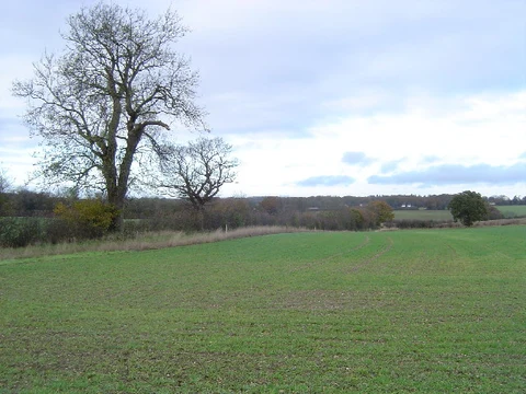 St Albans to Childwick Green
