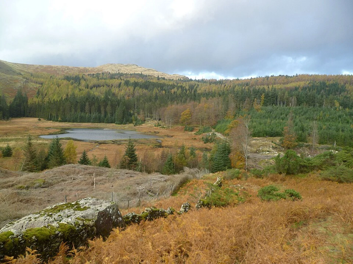 An image depicting the trail House Point, Swithin Crag and Harrop Tarn and its surrounding area.