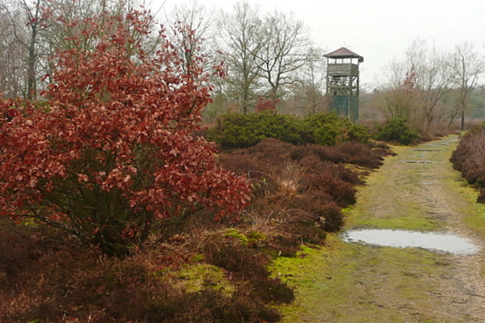 Boxford Country Park, Winterbourne Park and Snelsmore Common | West