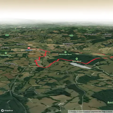 Newbridge Wood, Batt's Wood, Wadhurst Park Lake and Dens Wood Loop