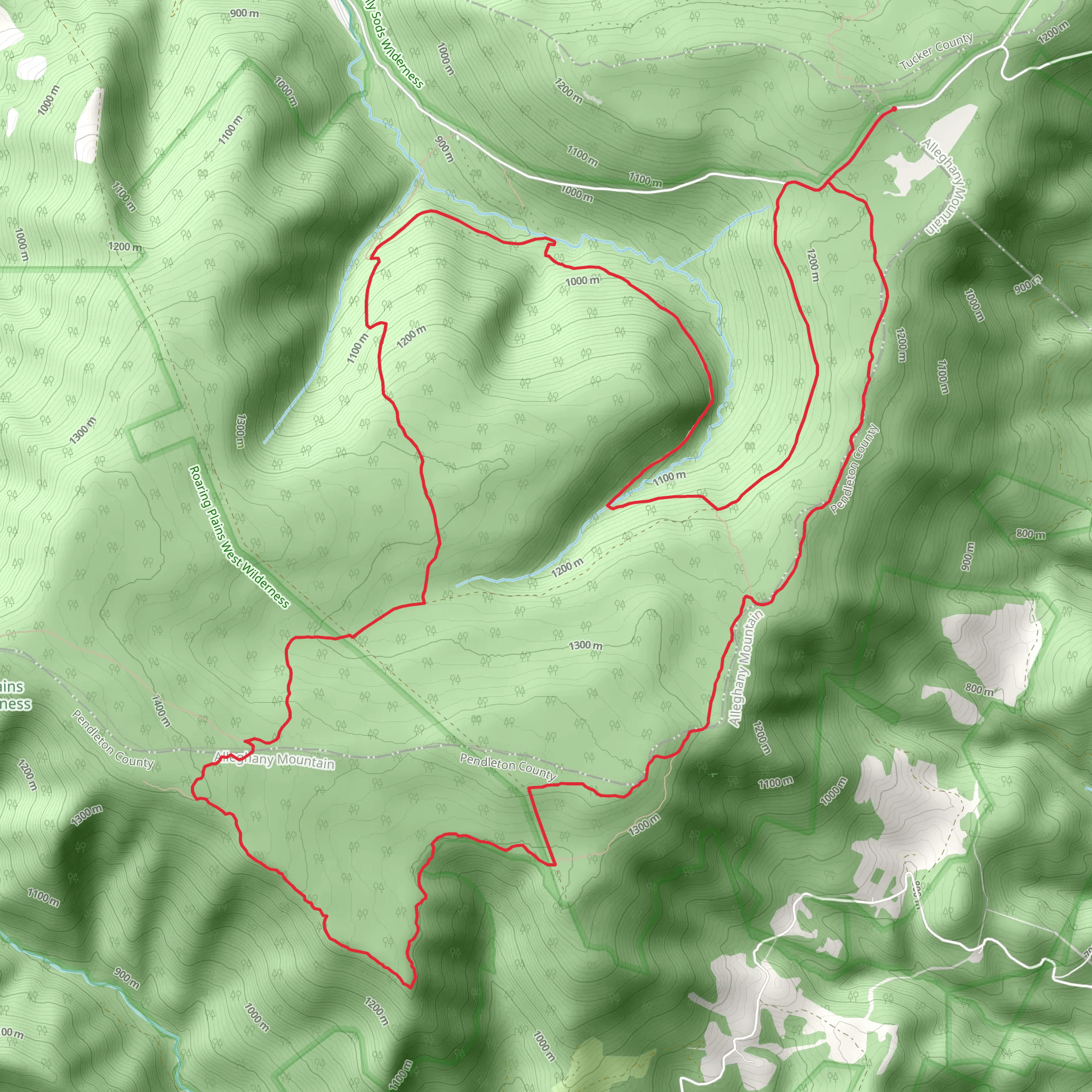 South Prong, Canyon Rim and Roaring Plains Loop Trail mobile static map