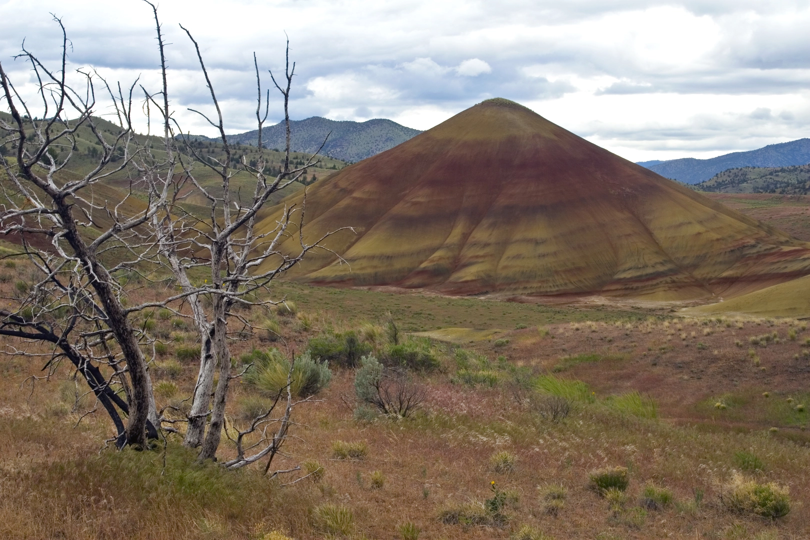 An image depicting the trail Oregon Timber Trail and its surrounding area.