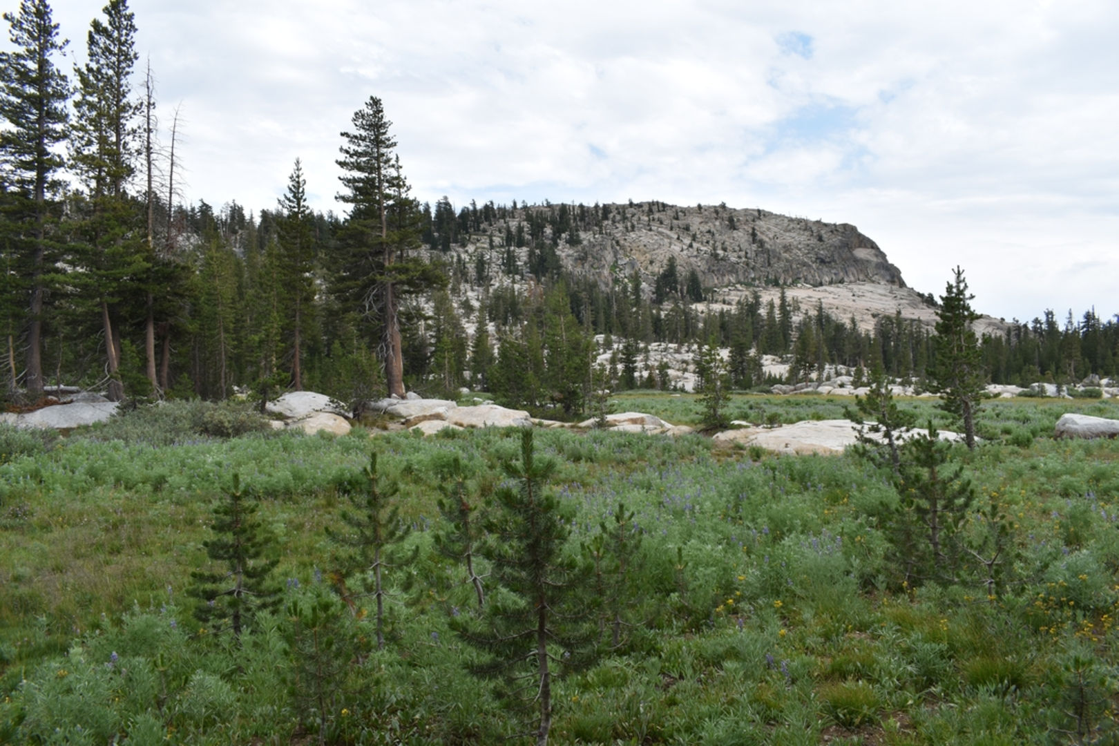 An image depicting the trail Bull Run Lake Trail and its surrounding area.