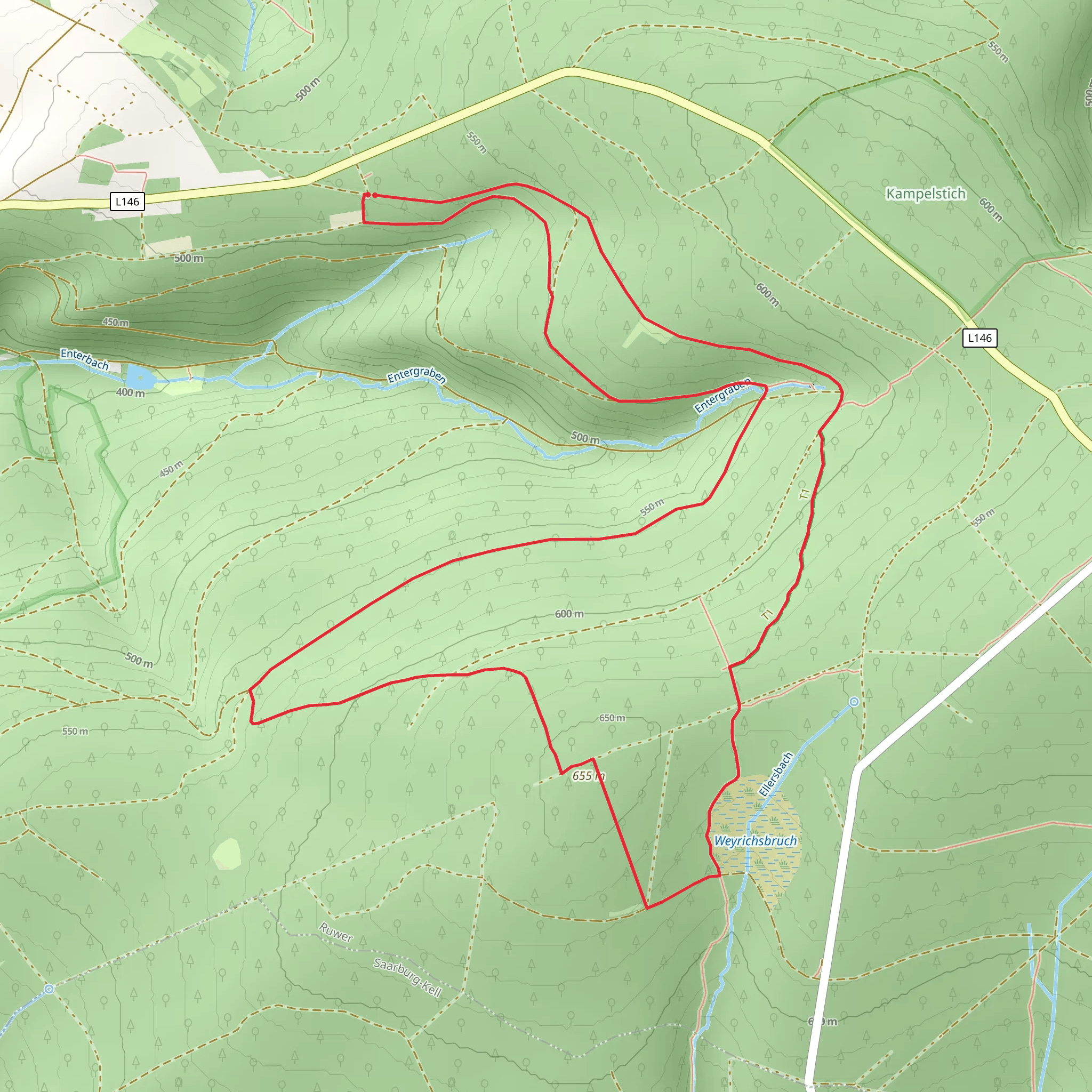 Holzerath 1 and Roesterkopf Rundweg mobile static map