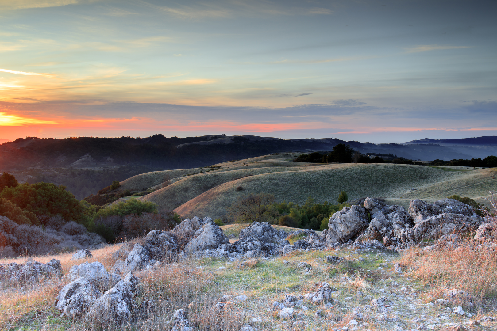 An image depicting the trail Bella Vista Trail and Lower White Oak Loop Trail and its surrounding area.