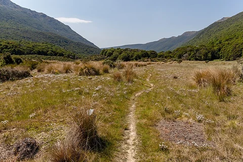 Trilobite Hut to Fenella Hut