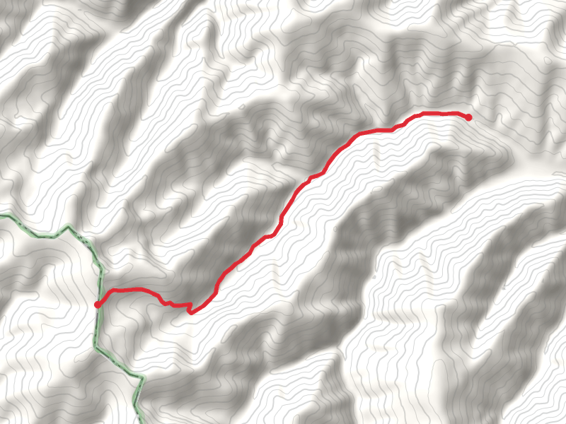 Gilt Edge Creek Trail