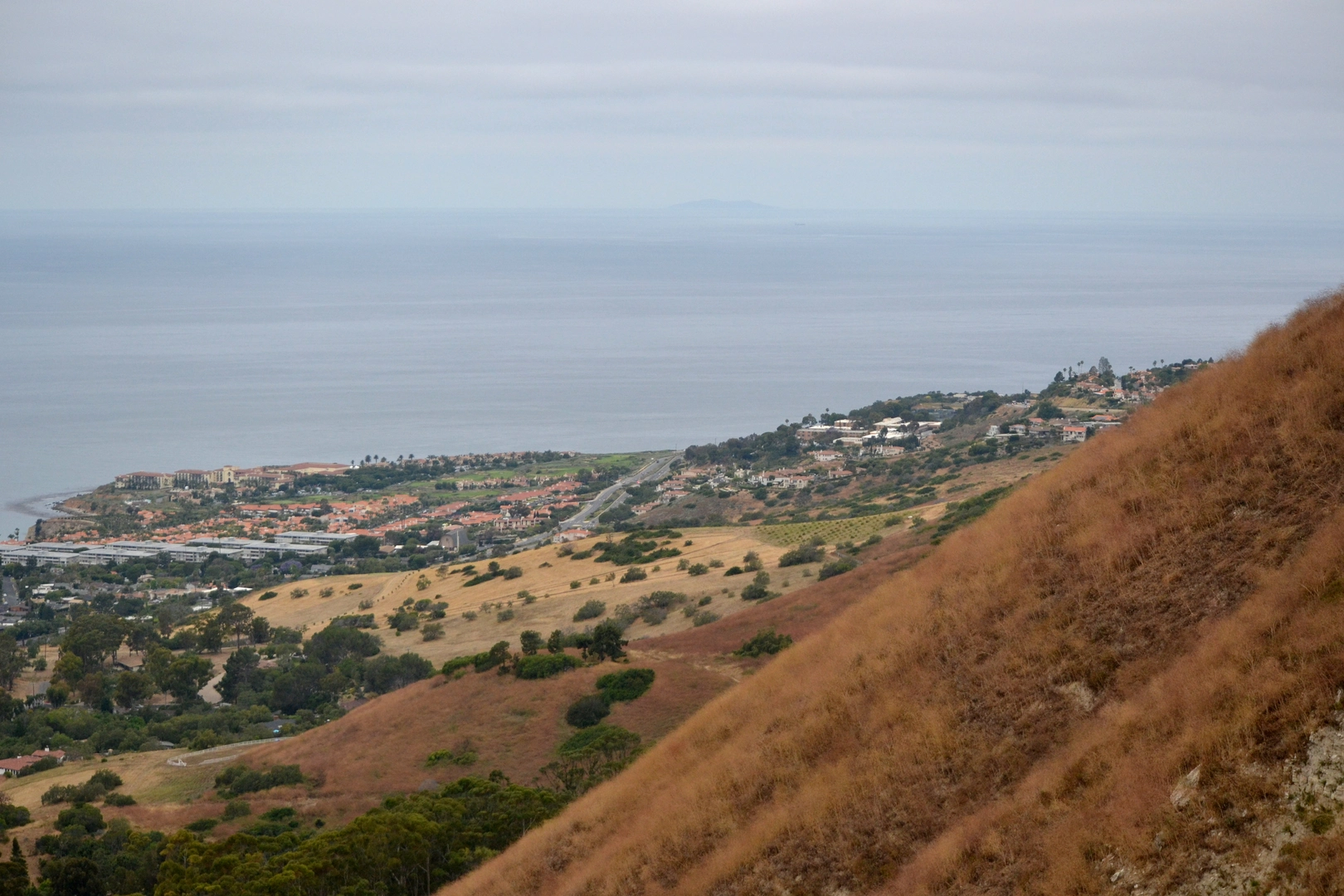 An image depicting the trail Zote's Cutacross and its surrounding area.