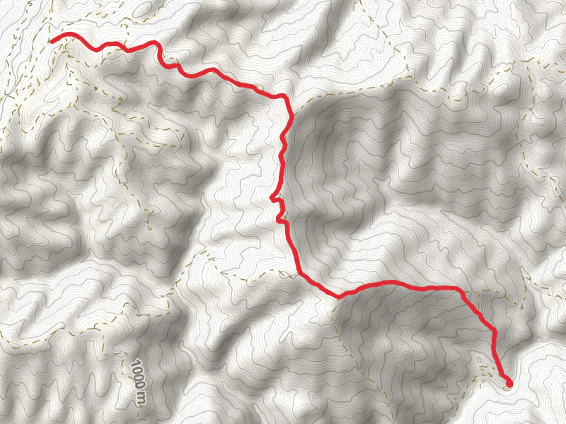 Cracker Box Trail