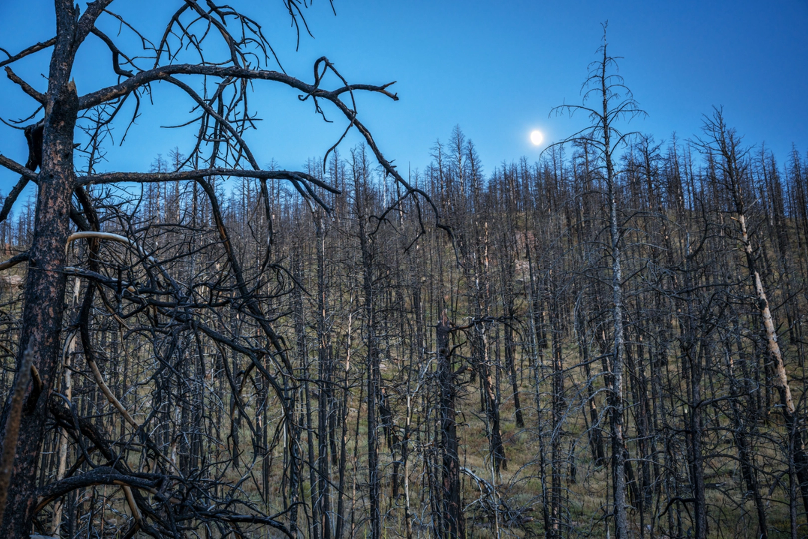 An image depicting the trail Hewlett Gulch Trail and its surrounding area.