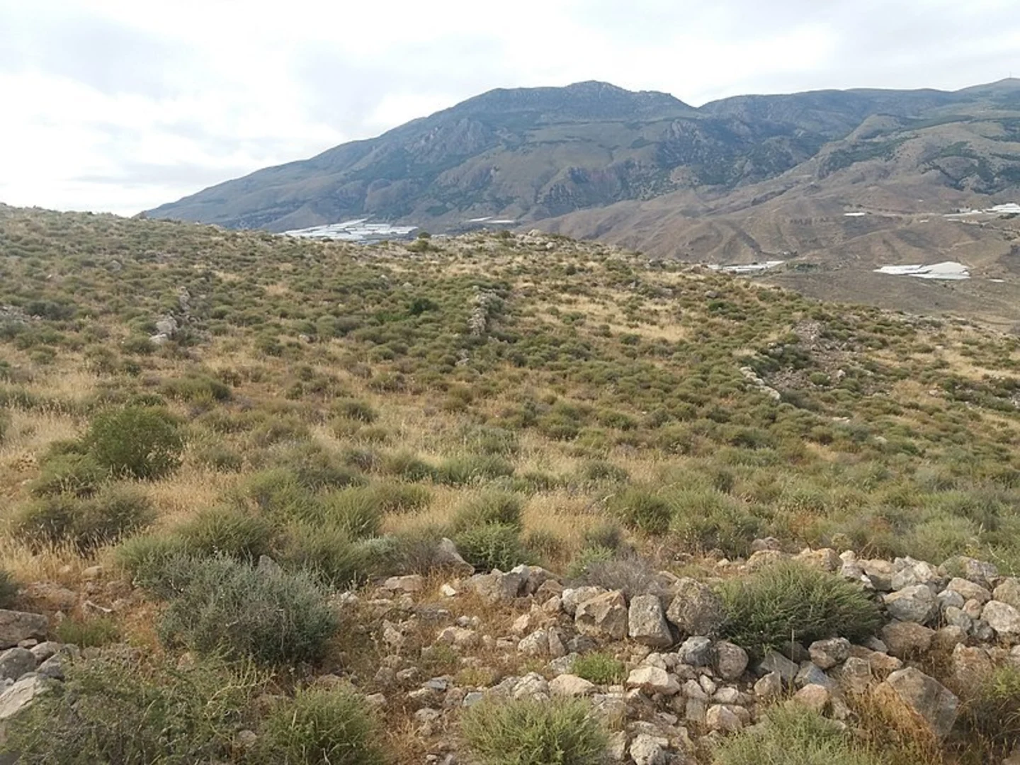 An image depicting the trail Cerrón Path and its surrounding area.