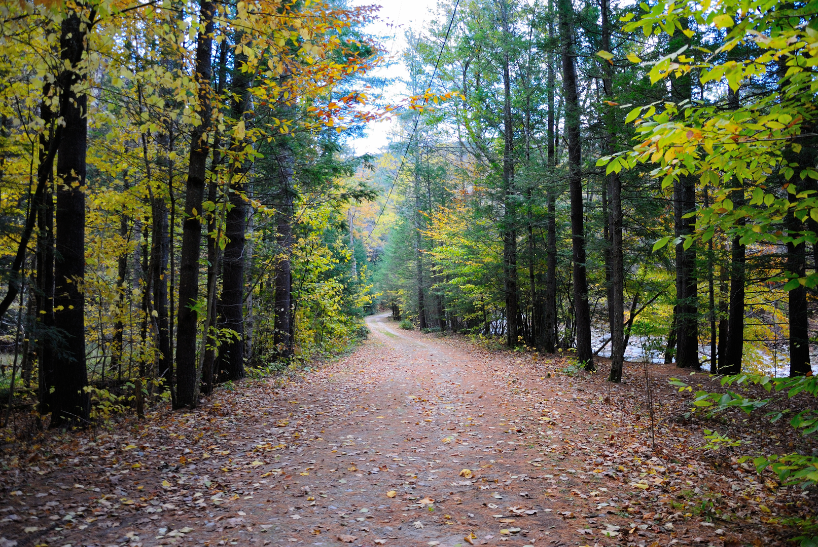 An image depicting the trail Mattatuck Trail - North and its surrounding area.