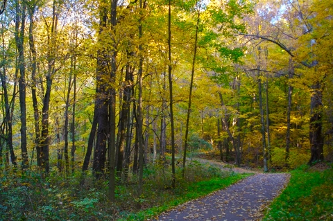 Falling Run Loop Trail