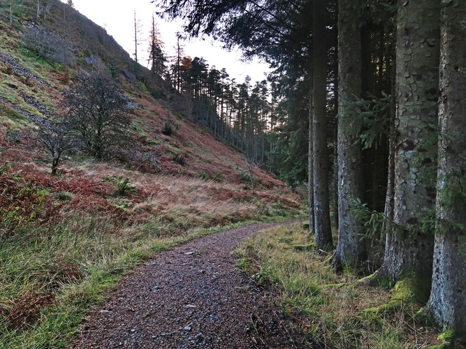 Queen Elizabeth Forest Park Loop