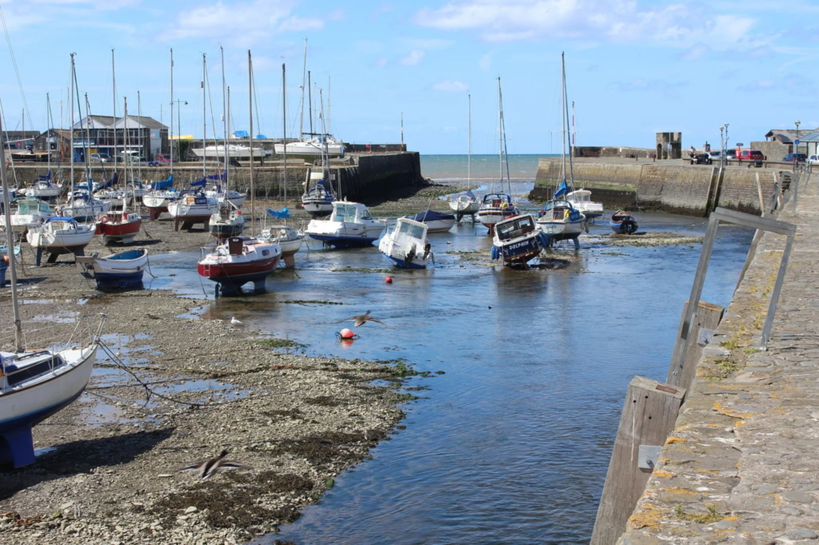 An image depicting the trail Aberaeron to Llanerchaeron Walk and its surrounding area.