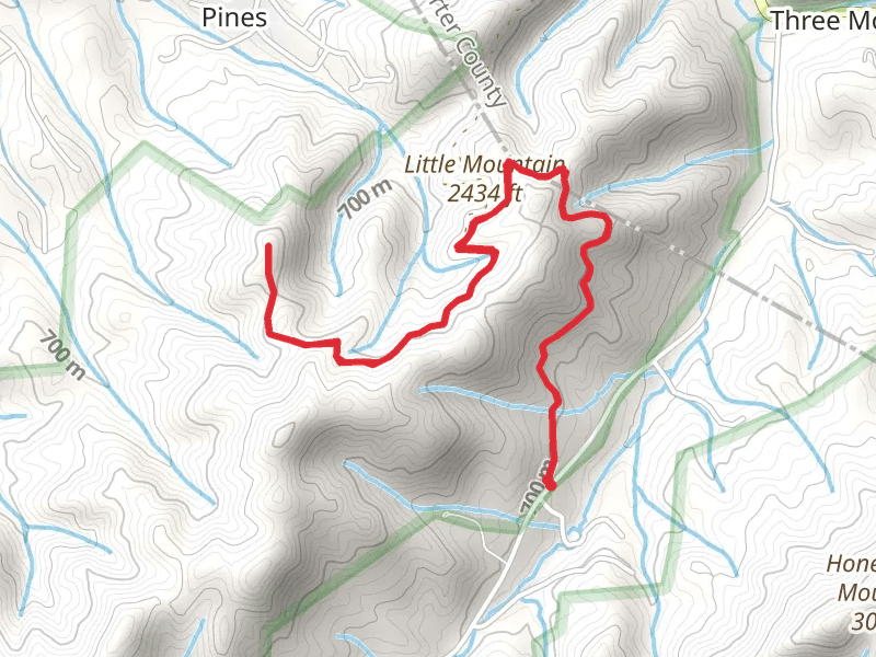 Powder Branch