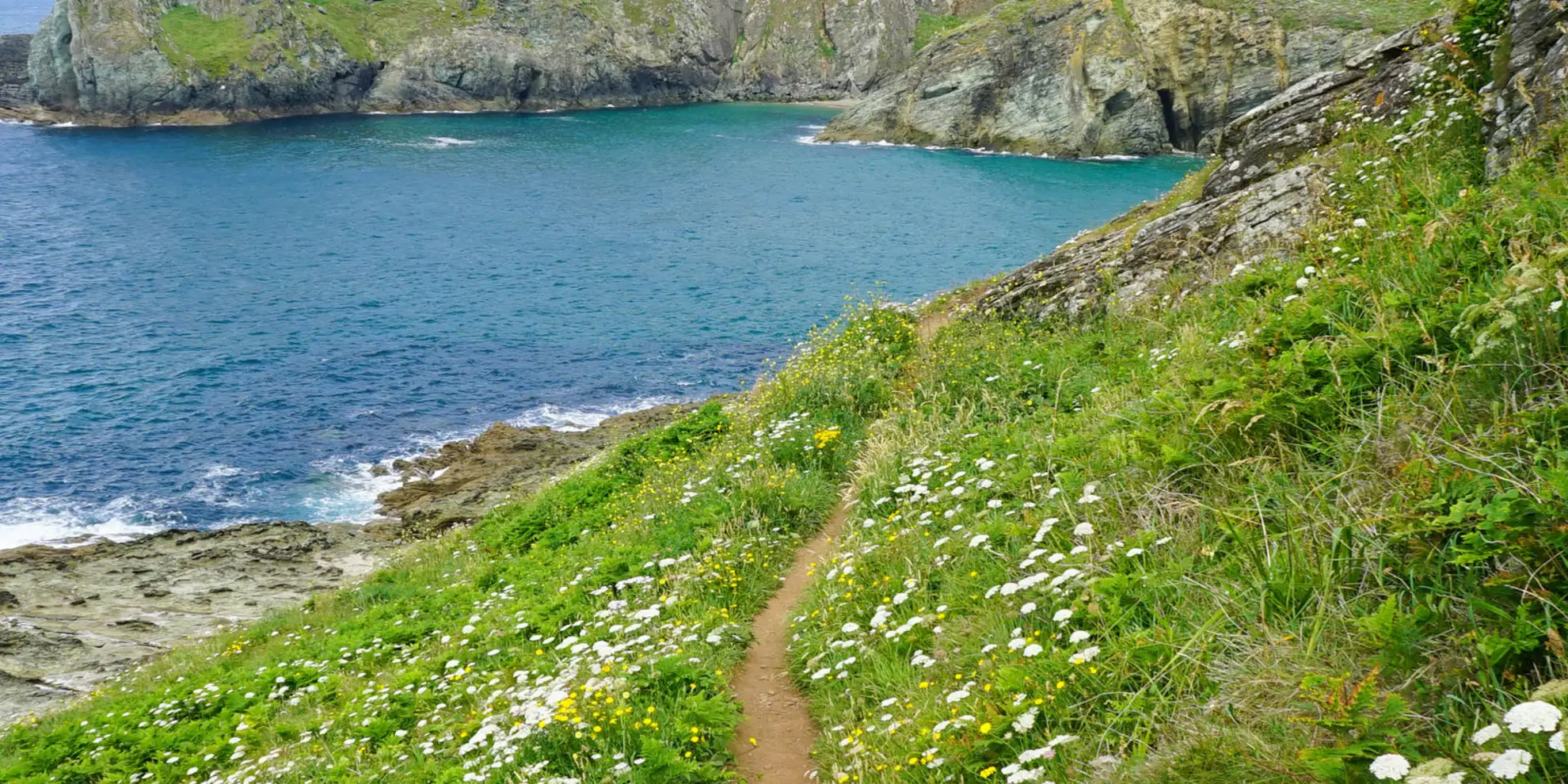 An image depicting the trail East Prawle and Prawle Point Walk and its surrounding area.