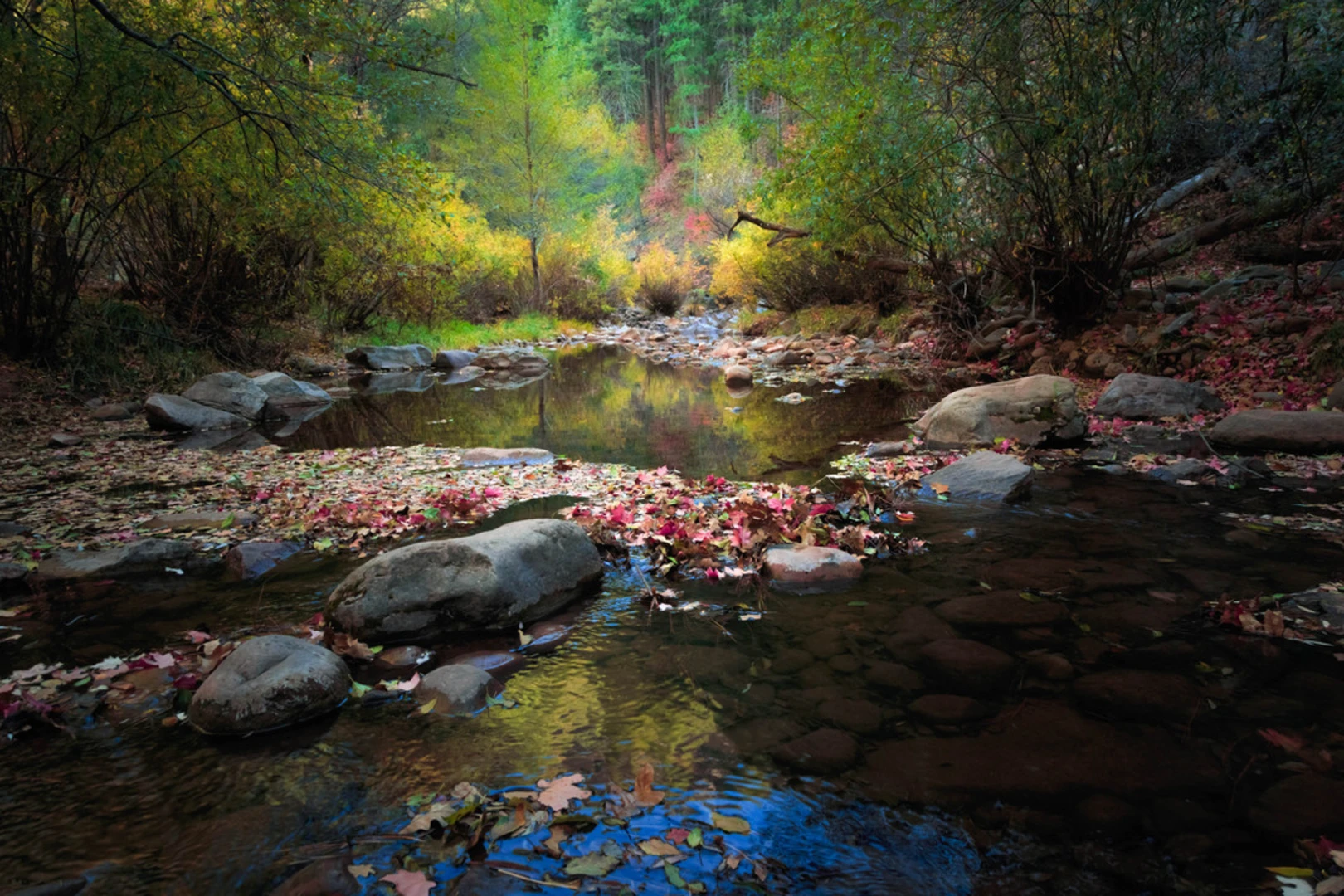 An image depicting the trail Drew Canyon Trail via Highline Trail and its surrounding area.