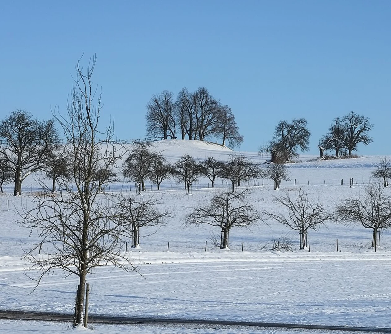 An image depicting the trail Halbachhammerteich and Sommerburgteich via Bredeney Holsterhausen and Margarethenhoehe and its surrounding area.