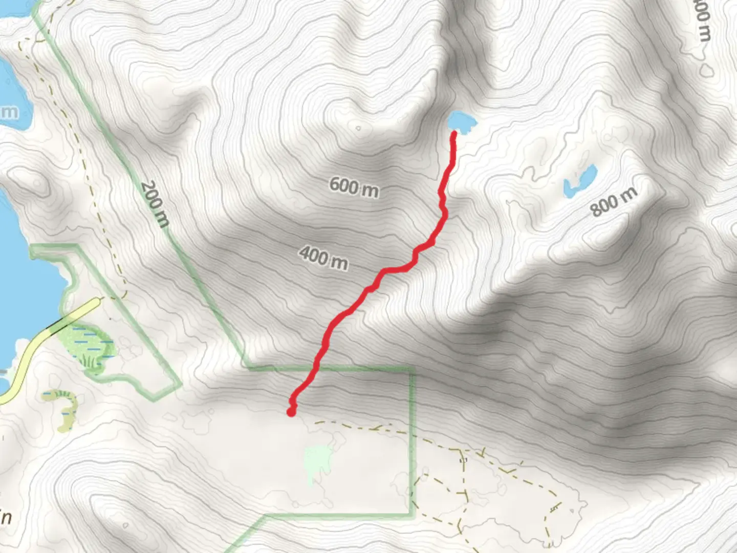 An image depicting the trail Nelson Logging Road Walk and its surrounding area.