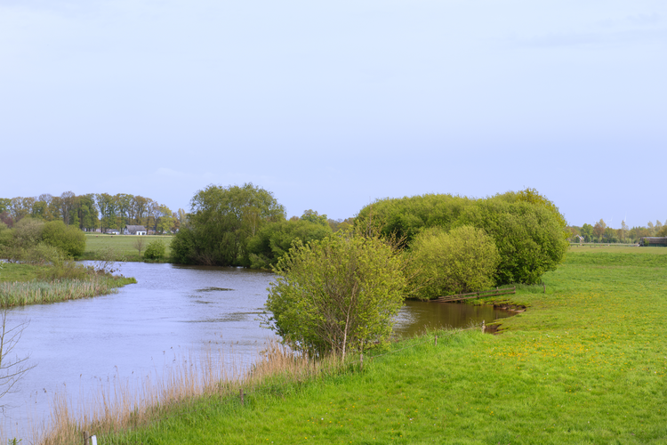 Overijsselse Hout and Buitenhof Loop