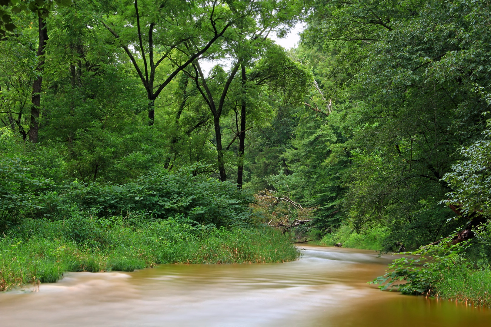 An image depicting the trail Conestoga River - Williamson Area Loop and its surrounding area.