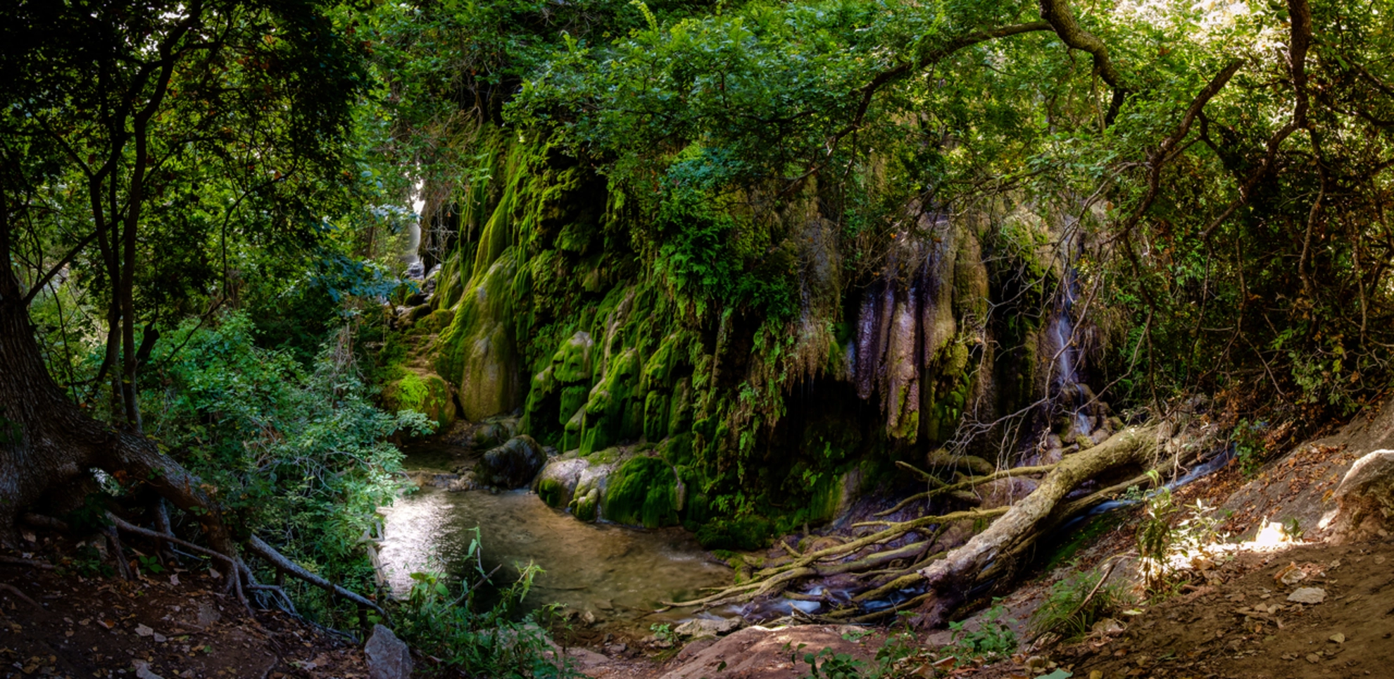 An image depicting the trail Dry Creek Junction Trail and its surrounding area.