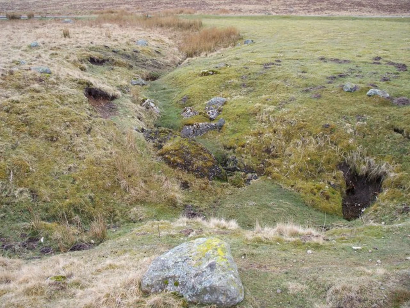 An image depicting the trail Nichol Chair and Middle Tongua Loop and its surrounding area.