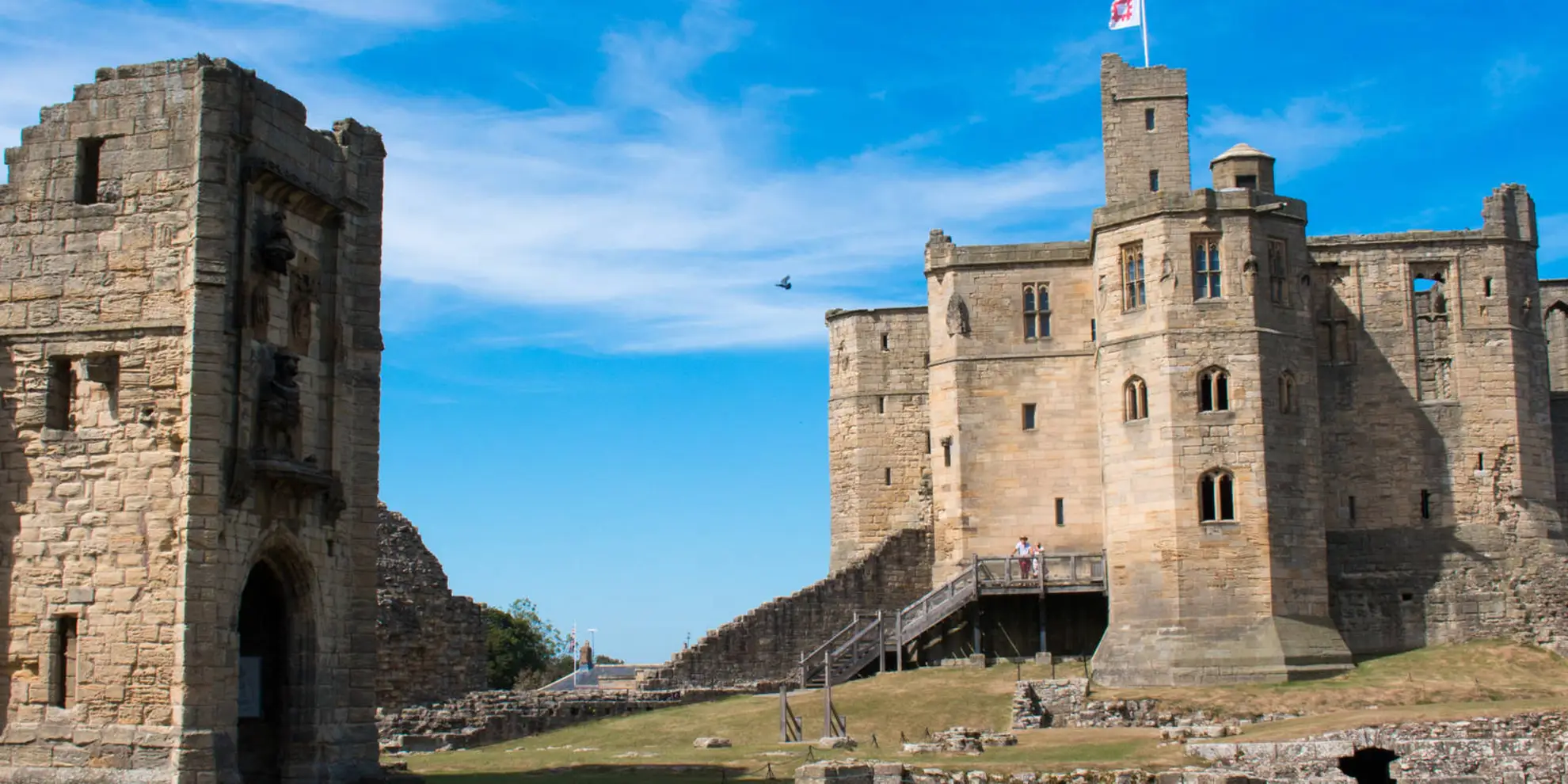 An image depicting the trail Warkworth - River Coquet and Mill Walk Wood and its surrounding area.