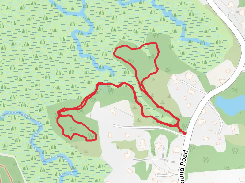 Sound Road Loop