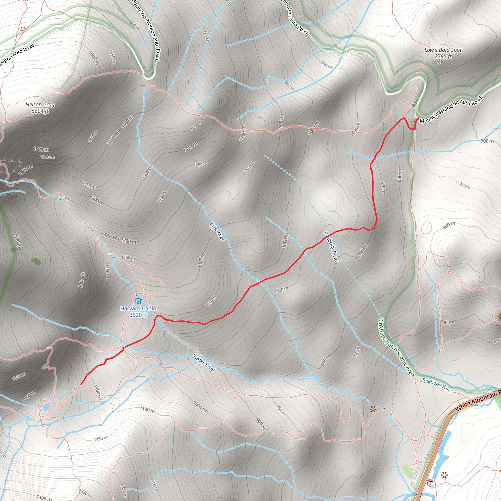 Low Bald Spot mobile static map
