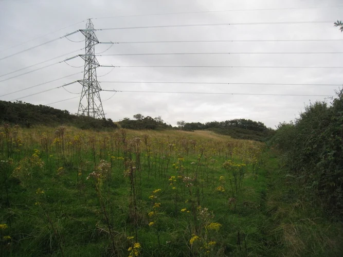 Primrose Hill Wood and Kelsborrow Castle Loop - Willington