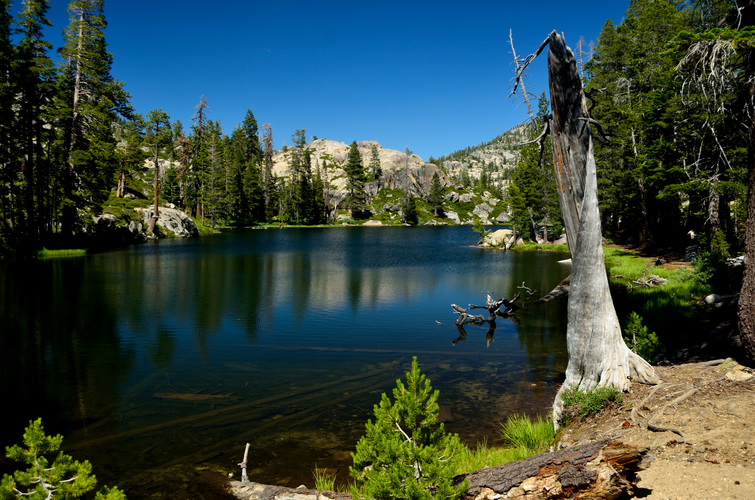 Bear and Camp Lake via Crabtree Trail