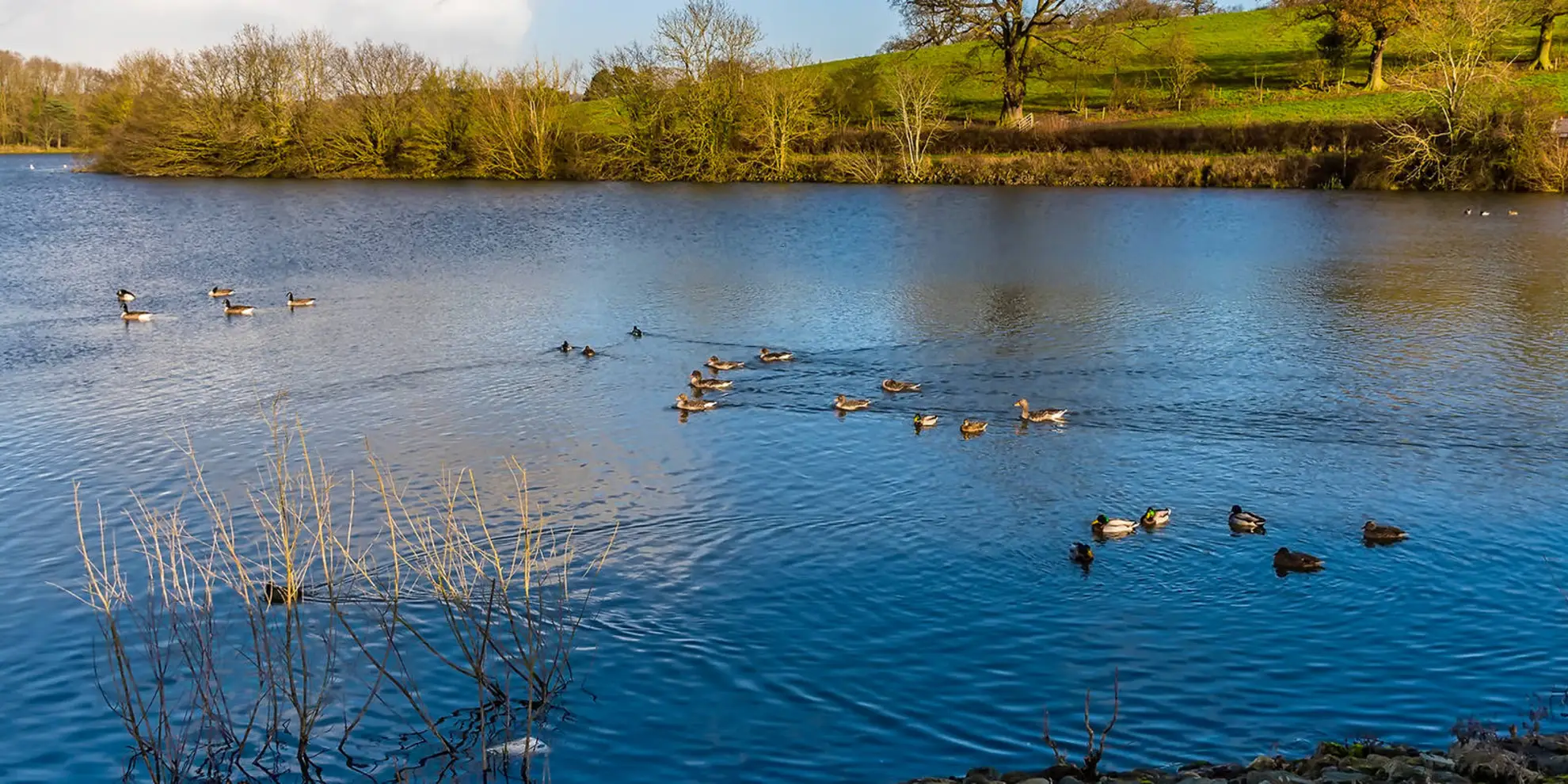An image depicting the trail Thornton Reservoir from Ratby and its surrounding area.