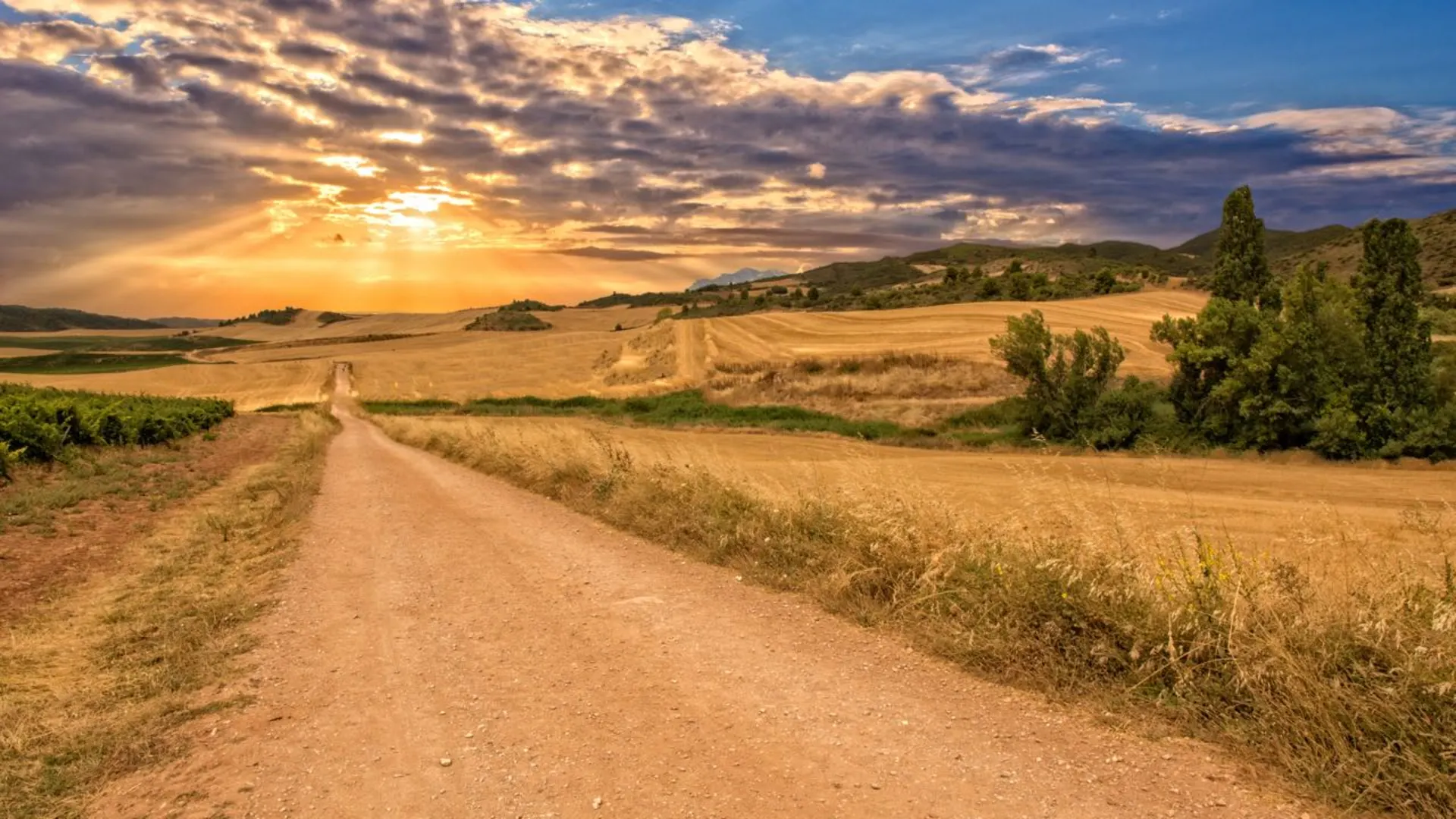 An image depicting the trail Camino de Santiago Francés and its surrounding area.