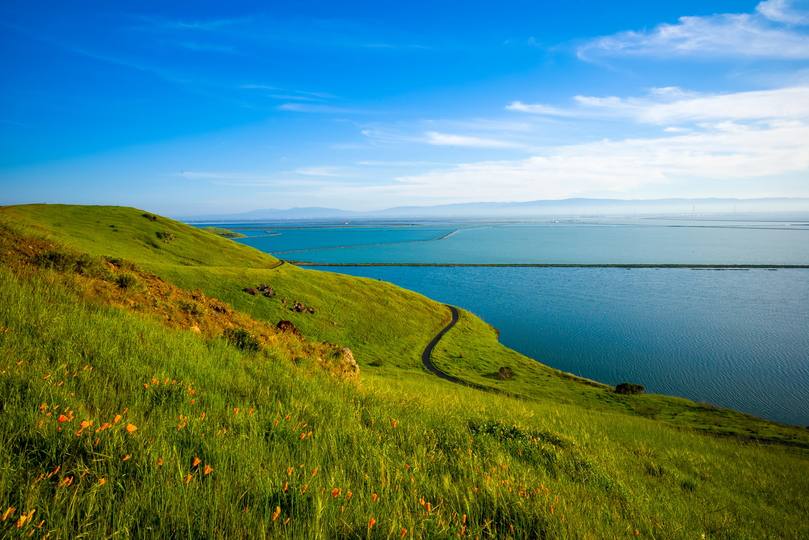 An image depicting the trail Alameda Creek Trail from Niles District and its surrounding area.